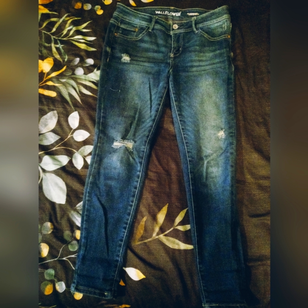 Wallflower The Legendary fit